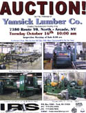 yansick.jpg (17407 bytes)